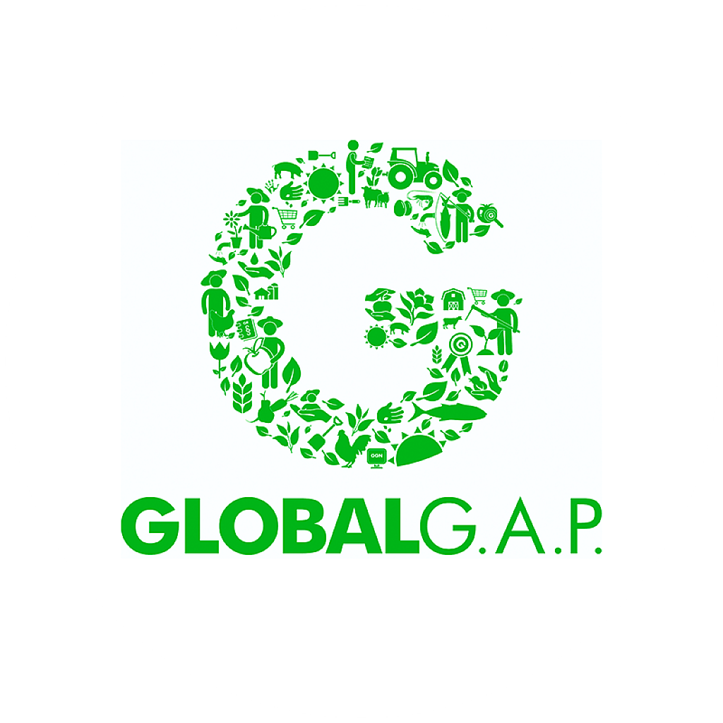 Global Cap logo