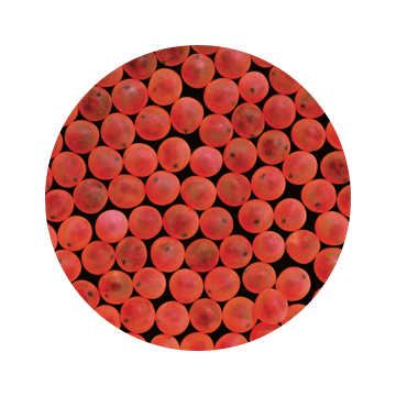 Step 1 - Spawning Eggs